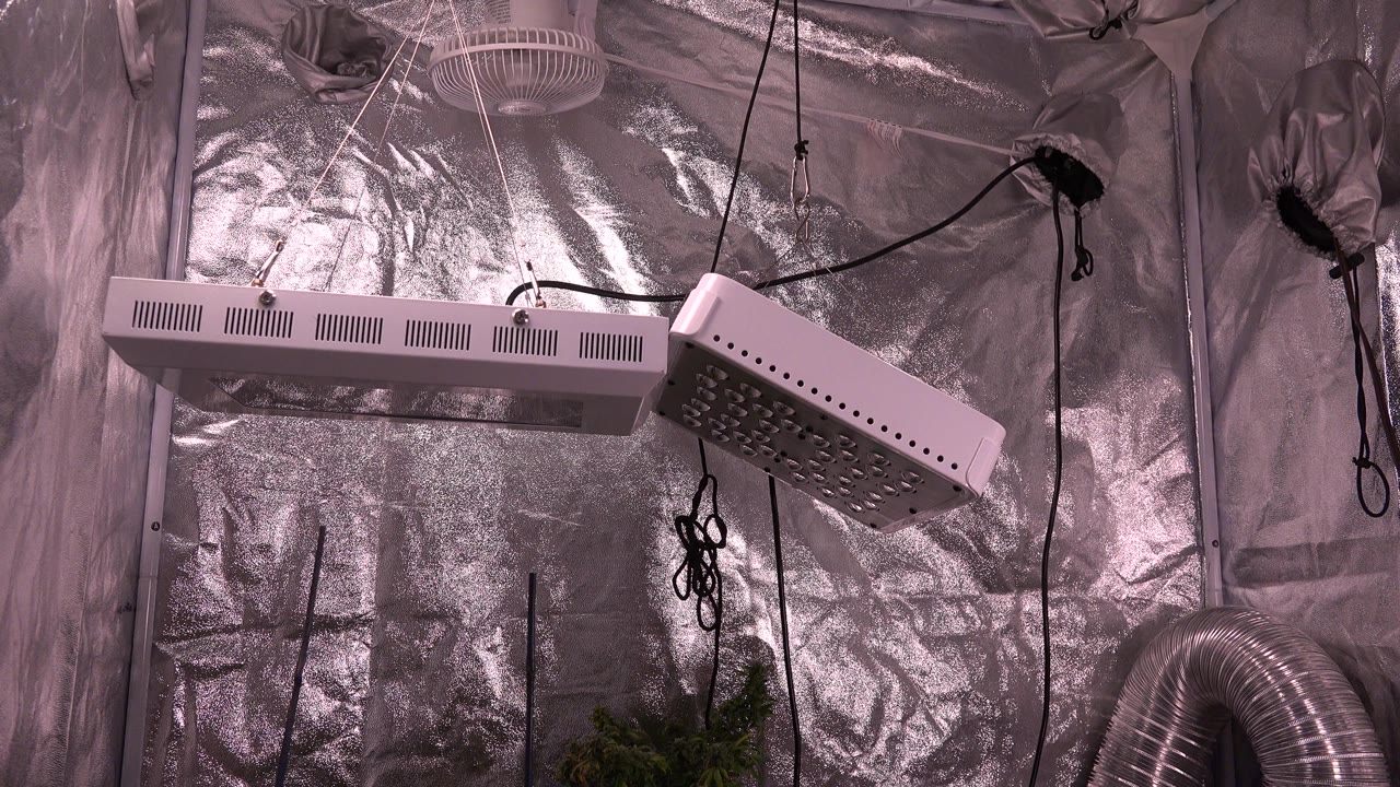 At 0:01 in Westminster, Colorado, the frame centers the long horizontal grow light and angled light panel in front of crinkled metallic wall covering, with no visible people.