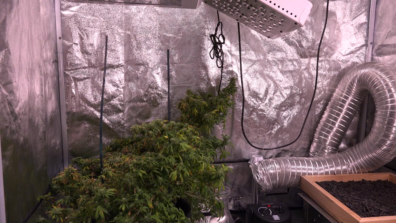 At 0:01, the view holds on leafy plants in the lower frame, a curved silver duct on the right, a tray of dark material, reflective walls, and no visible people.