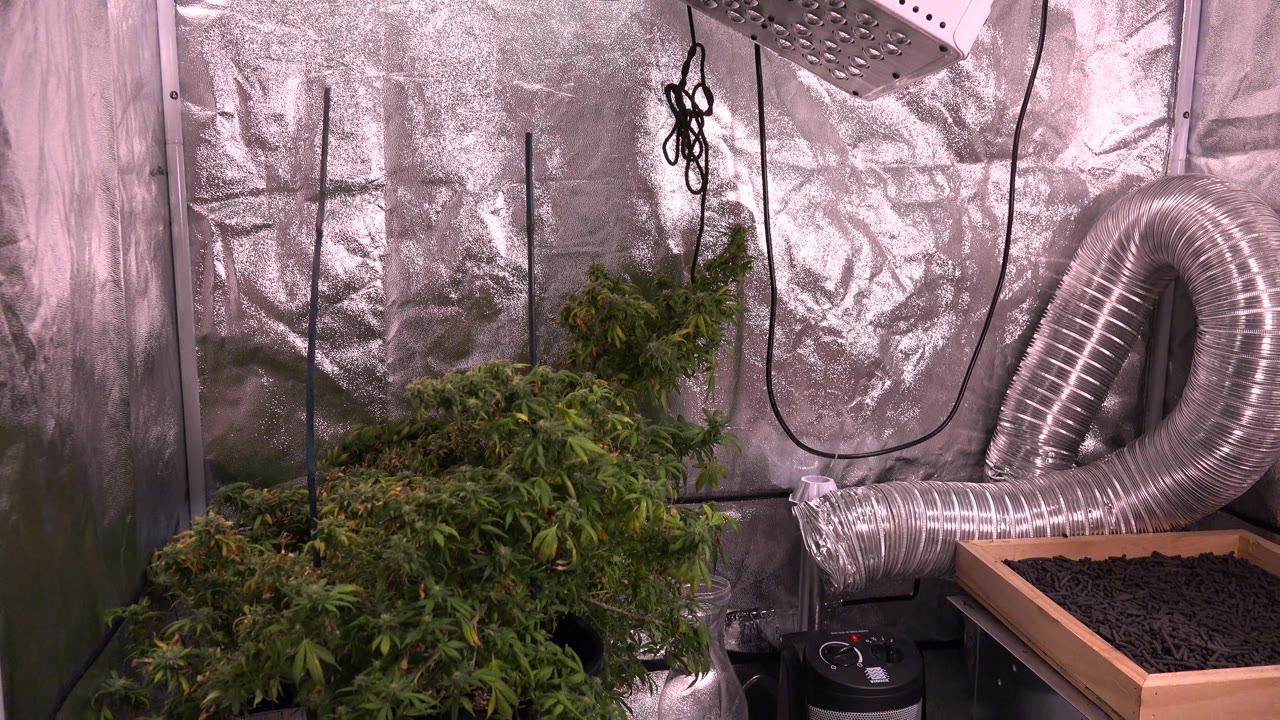 Reflective indoor wall with plants, cords, and ventilation duct.