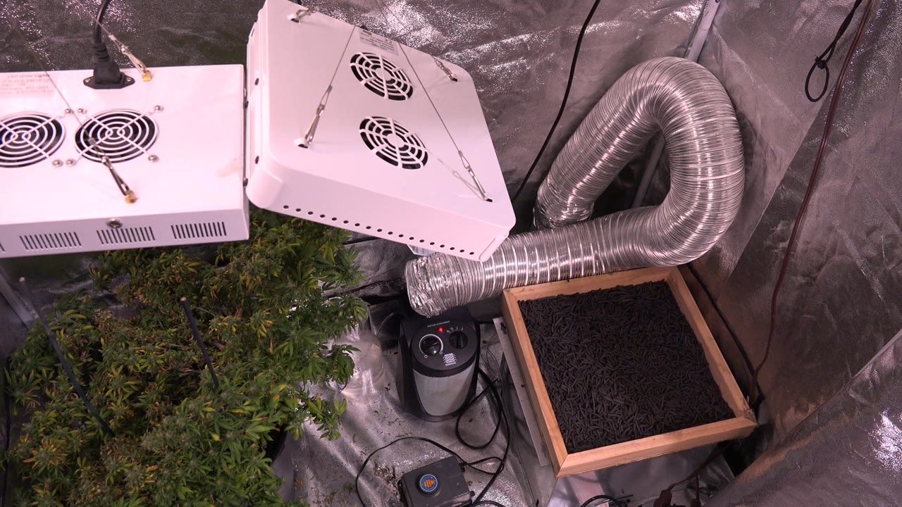 Reflective grow room corner with plants, lights, ducting, and floor devices.