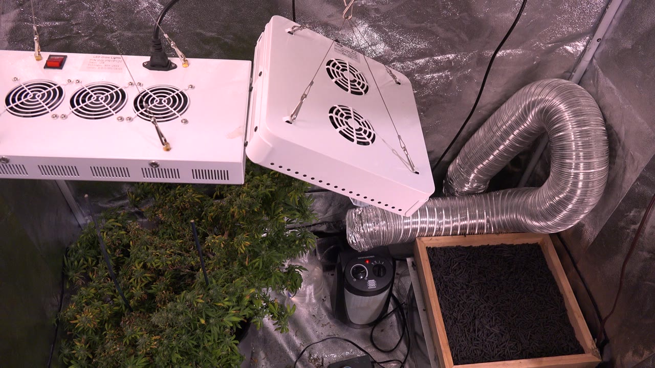 White hanging light units, reflective plastic walls, ducting, plants, and tray inside a cubicle.