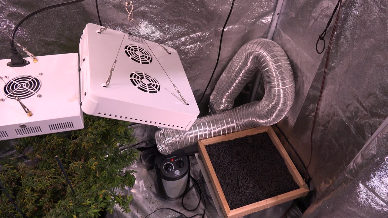 White equipment boxes, aluminum ducting, cables, plants, and a tray inside a reflective enclosure.