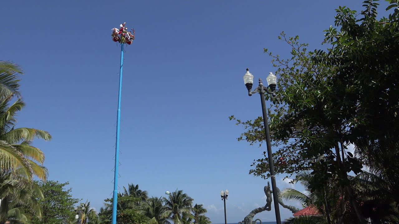 Tall blue pole with red and white objects against blue sky and trees.