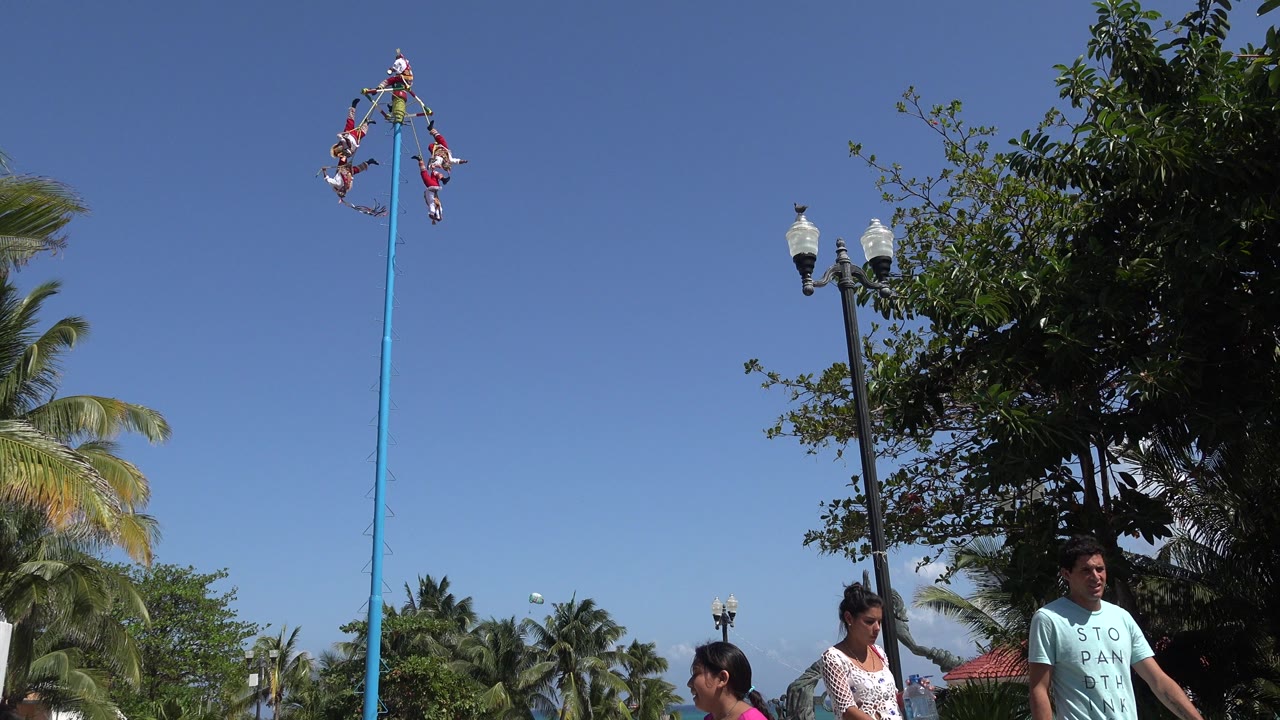 Aerial performers suspended high on a blue pole above pedestrians and palm trees.