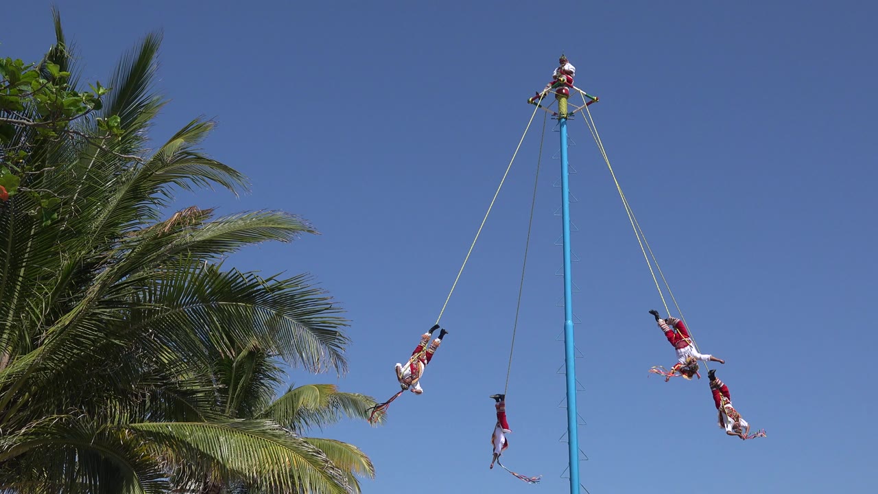 People swinging from ropes on a tall blue pole beside palm fronds.