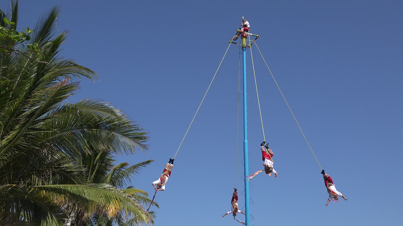 Performers swing from ropes around a tall blue pole beside palm trees.