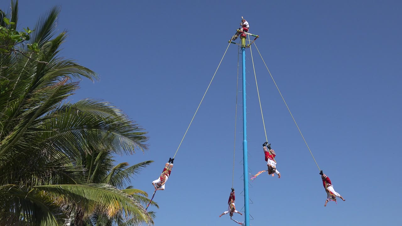 In Playa del Carmen, Mexico, four suspended performers are spaced around the blue pole while a person stands or sits at the top platform and palm fronds frame the left side.