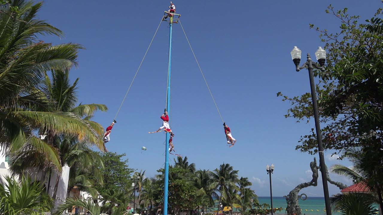 In Playa del Carmen, Mexico, two visible performers hang on opposite sides of the blue pole while a palm canopy, lamp posts, blue sky, and a low strip of sea remain in the background.