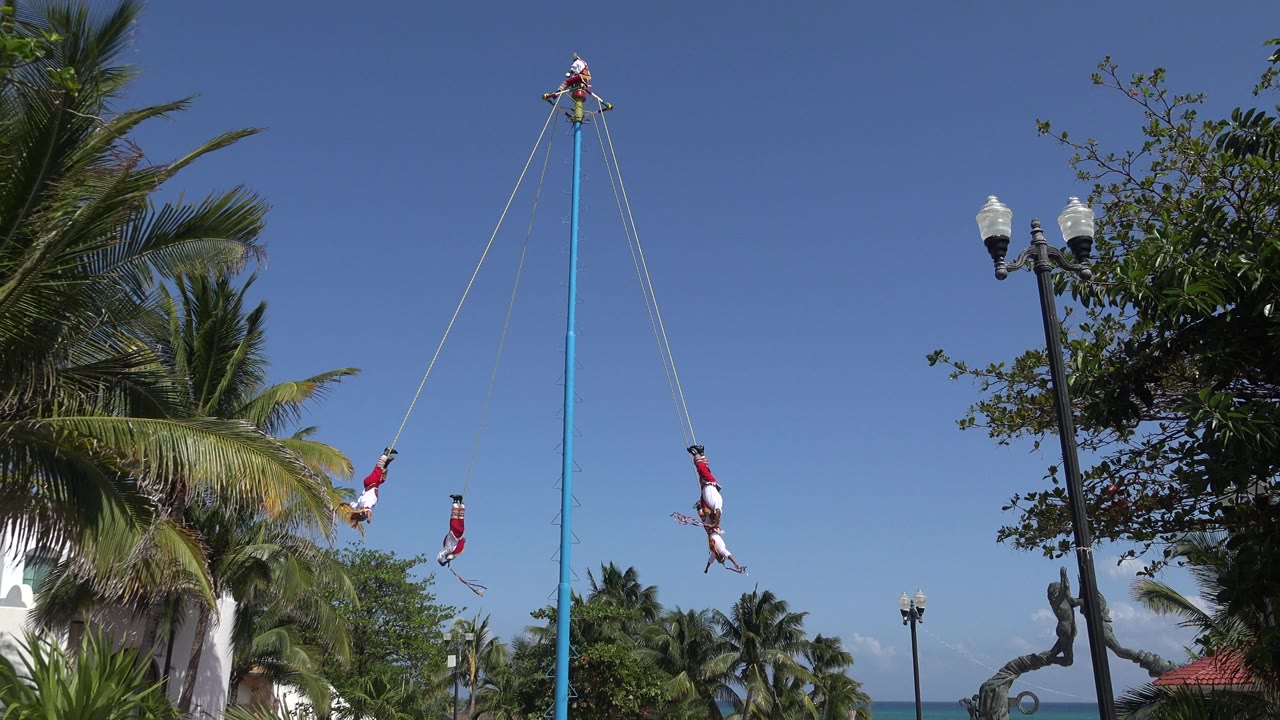 Performers hang from ropes on a tall blue pole above palm trees.