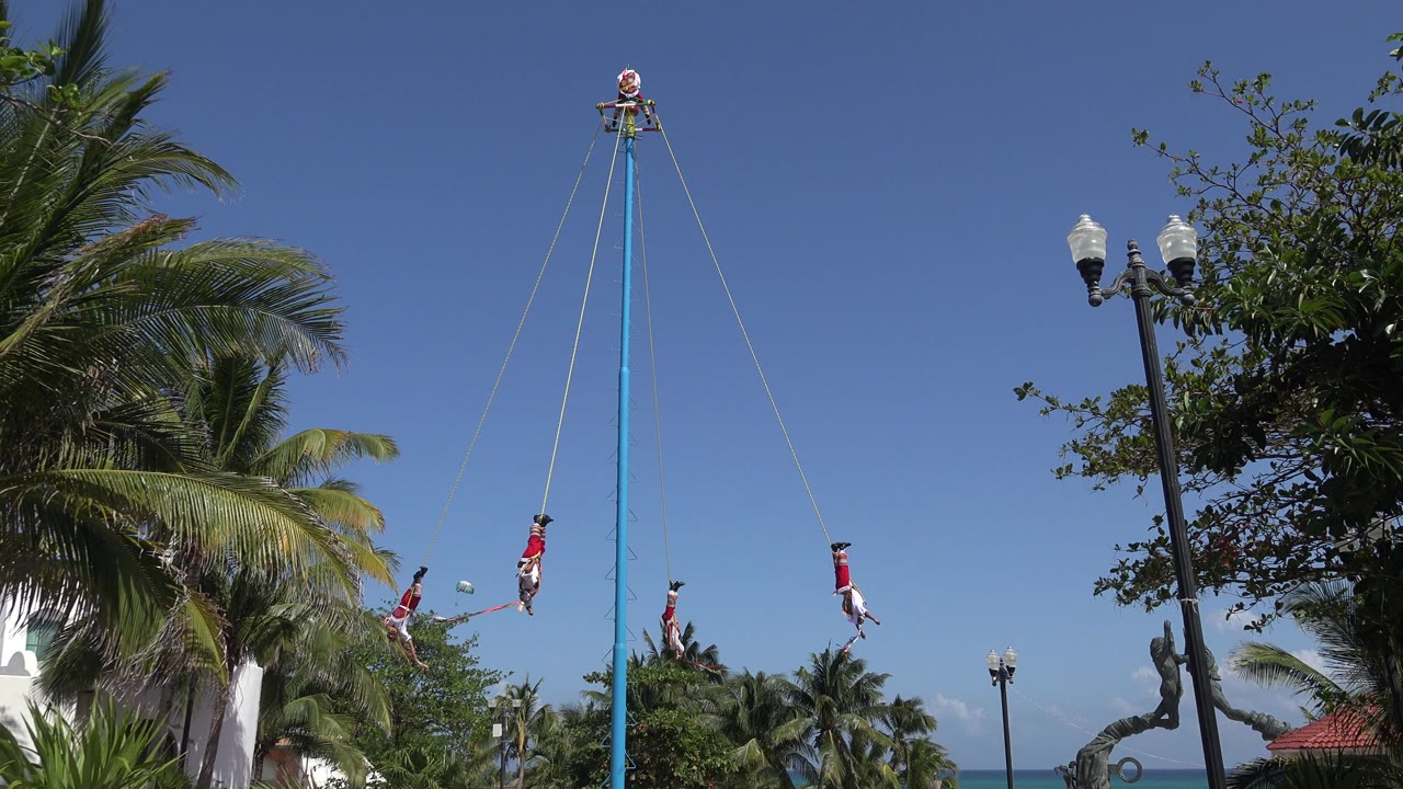 Performers swing from ropes on a tall blue pole near palm trees.