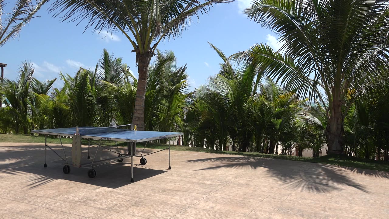 A blue table tennis table sits on a paved patio in Playa Del Carmen, Mexico, with dense palms behind it and no visible people.