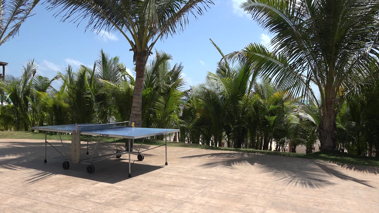 Blue table tennis table under palm shadows
