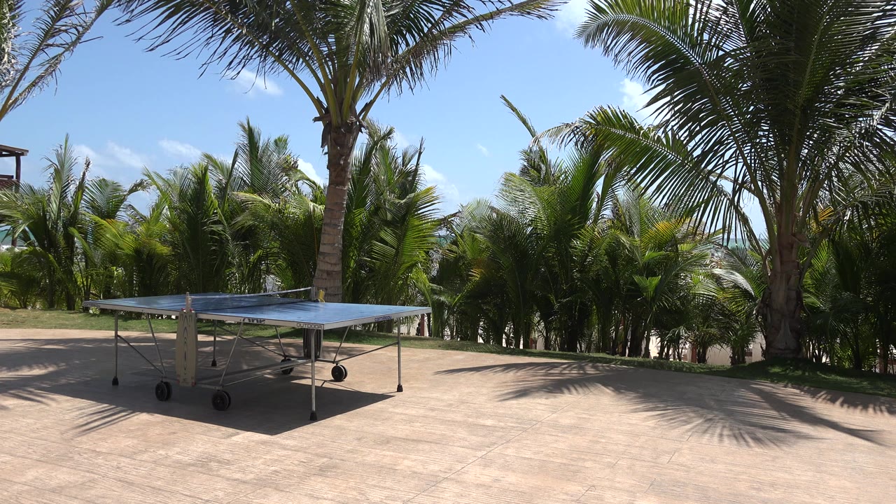 Outdoor table tennis table on a sunny patio beside palm trees.