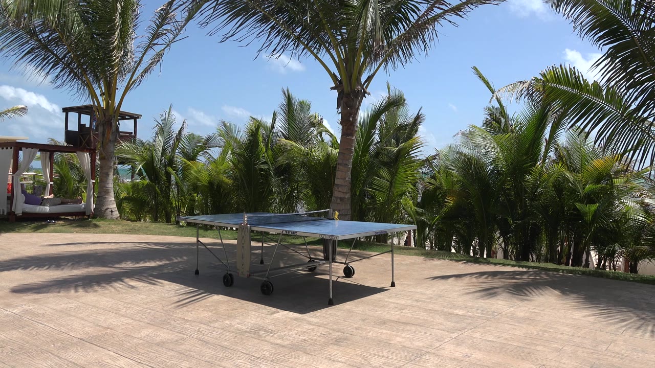 Table tennis table on a paved patio with palms and a shaded structure behind it.