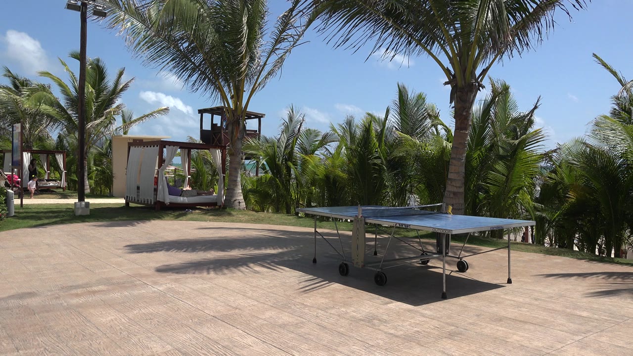 Ping pong table on a sunlit tropical patio with palms and cabanas.
