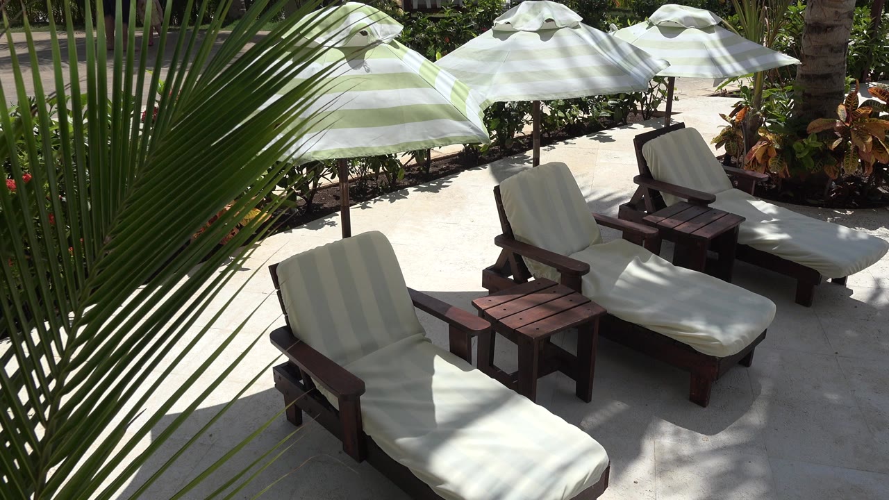Empty lounge chairs under patio umbrellas beside palm fronds