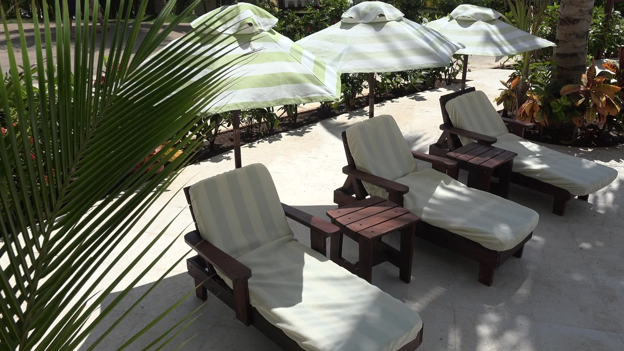Opening frame of empty cushioned lounge chairs and small wooden tables under pale striped umbrellas in Playa Del Carmen, Mexico, with palm fronds crossing the left foreground and no visible people.