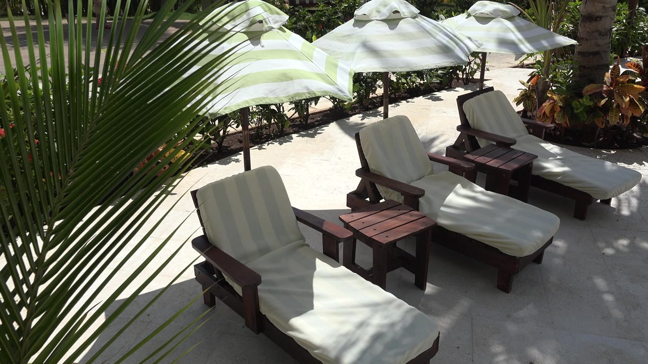 Shaded lounge chairs, umbrellas, palm leaves, and tropical planting.