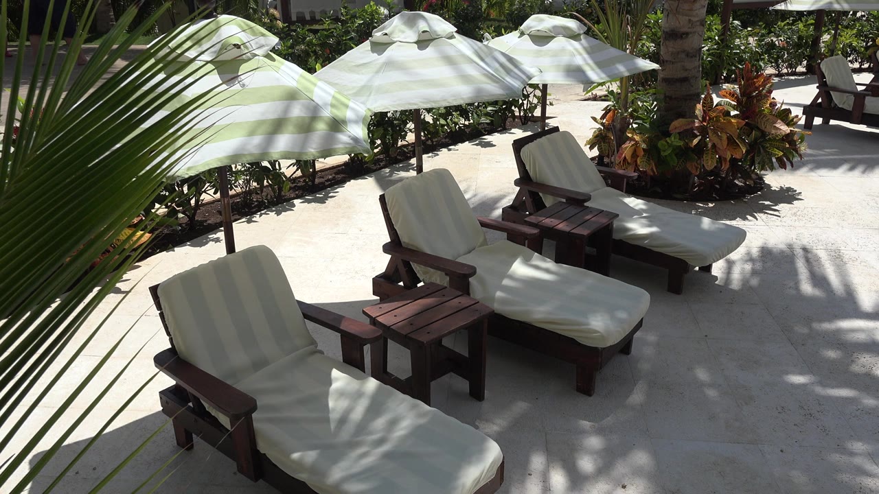 Resort lounge chairs under umbrellas beside palm leaves.