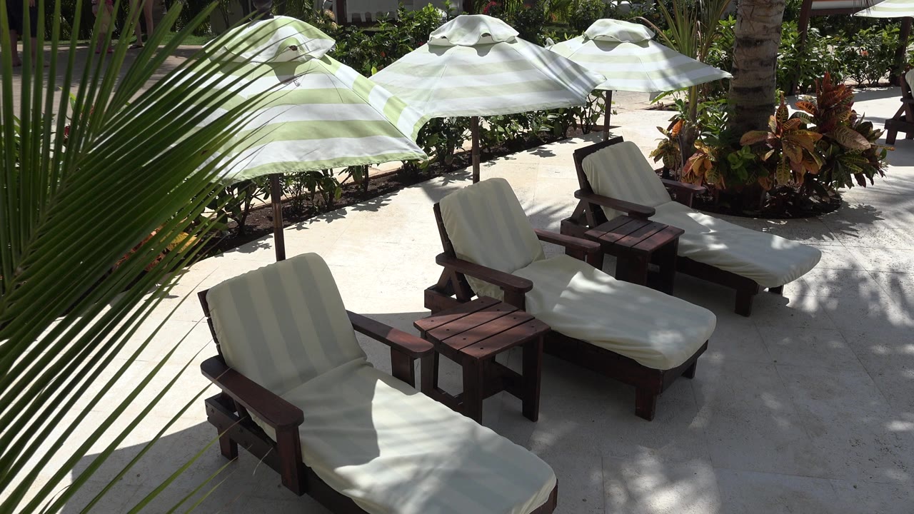 At 0:00, cream lounge chairs and small wooden tables sit under striped umbrellas in a Playa del Carmen resort setting, with palm fronds crossing the foreground and no visible people.