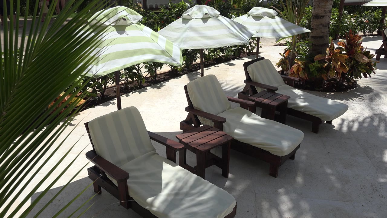 Empty cabana chairs with palm leaves in foreground
