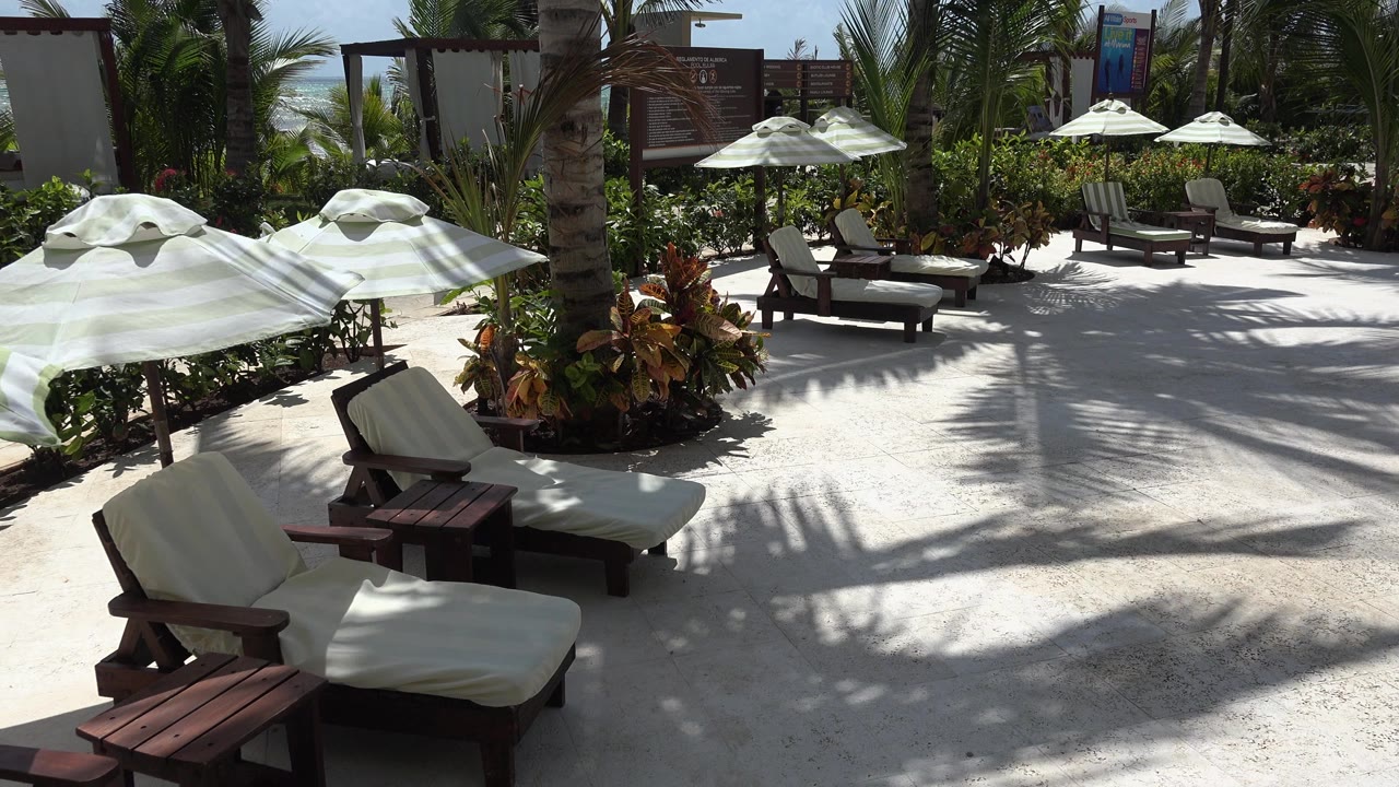 Empty lounge chairs under umbrellas beside palms and planted greenery