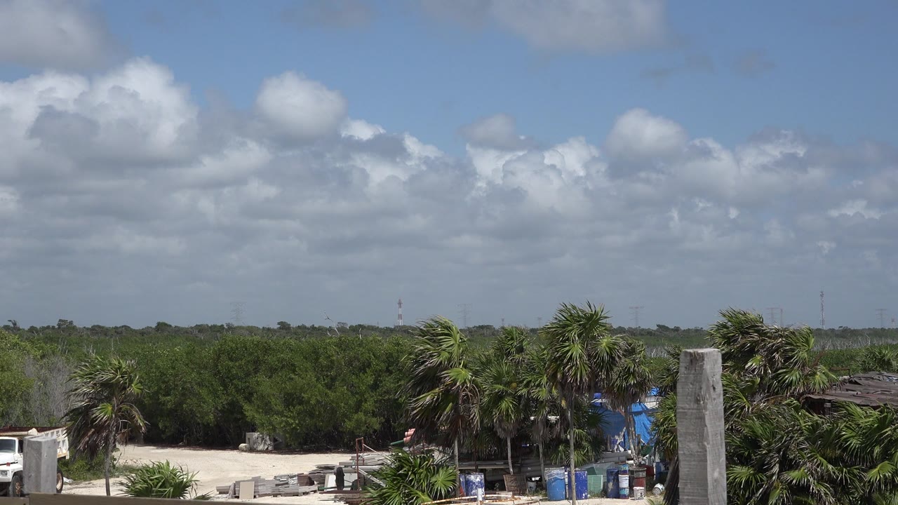 Playa del Carmen frame with layered clouds over green brush, palm crowns near the lower right, pale ground at left, and no visible people.