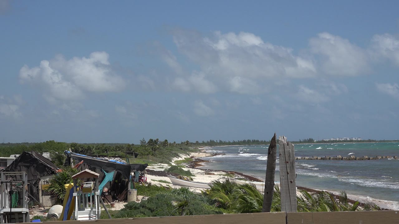 Coastal view with surf, palms, and shorefront buildings under blue sky.
