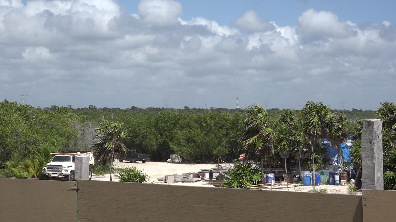 Rooftop view over palms, sand, truck, and green foliage