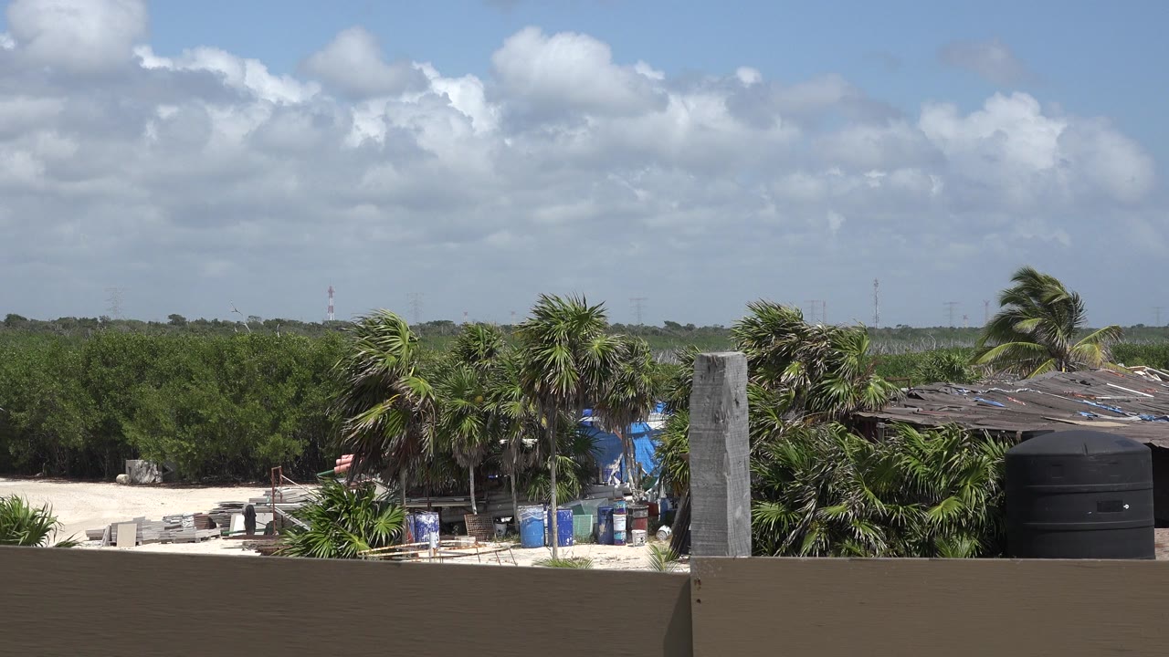 Palm trees, low buildings, water tank, and blue sky beyond a tan railing.