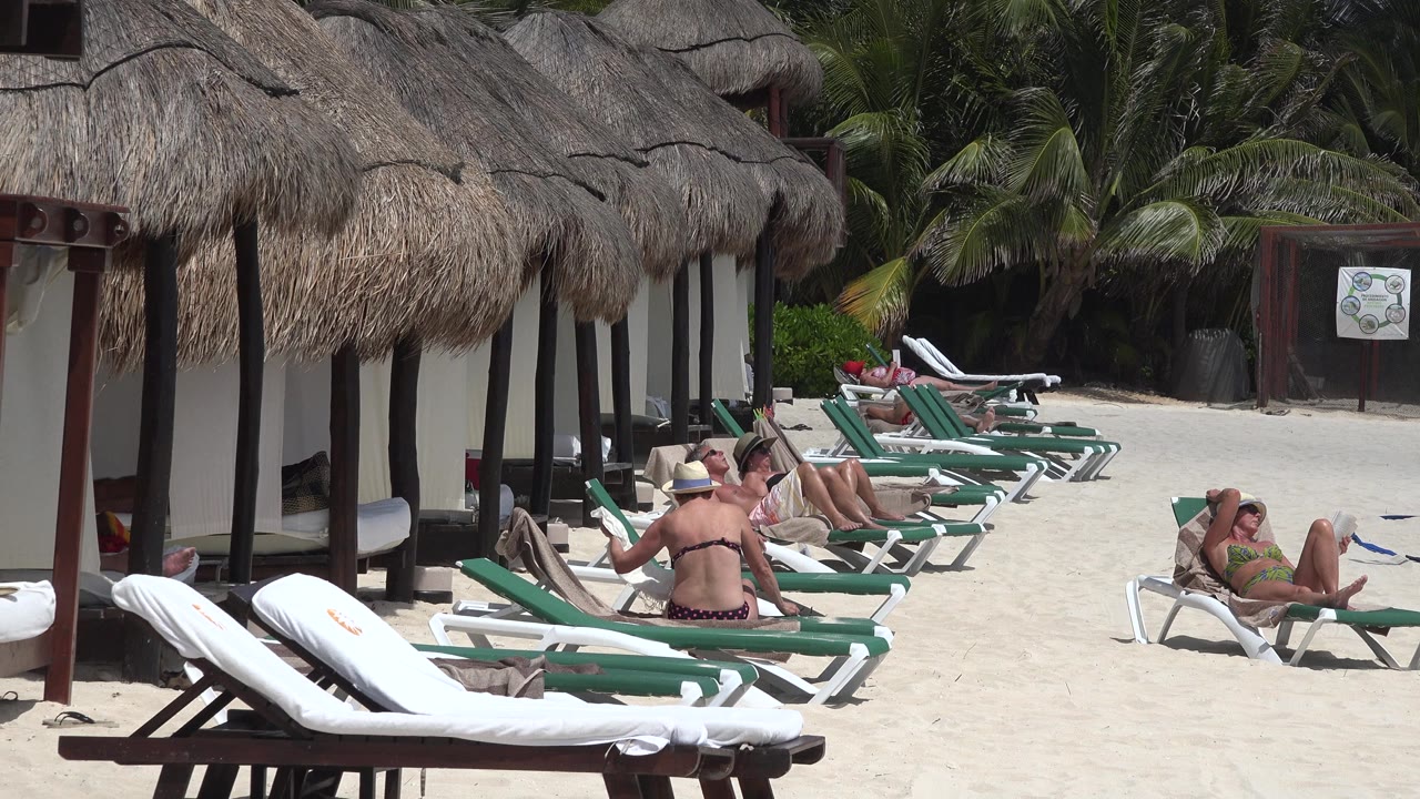 A line of beach loungers holds several sunbathers in Playa del Carmen, Mexico, with thatched roofs on the left and palms filling the background.