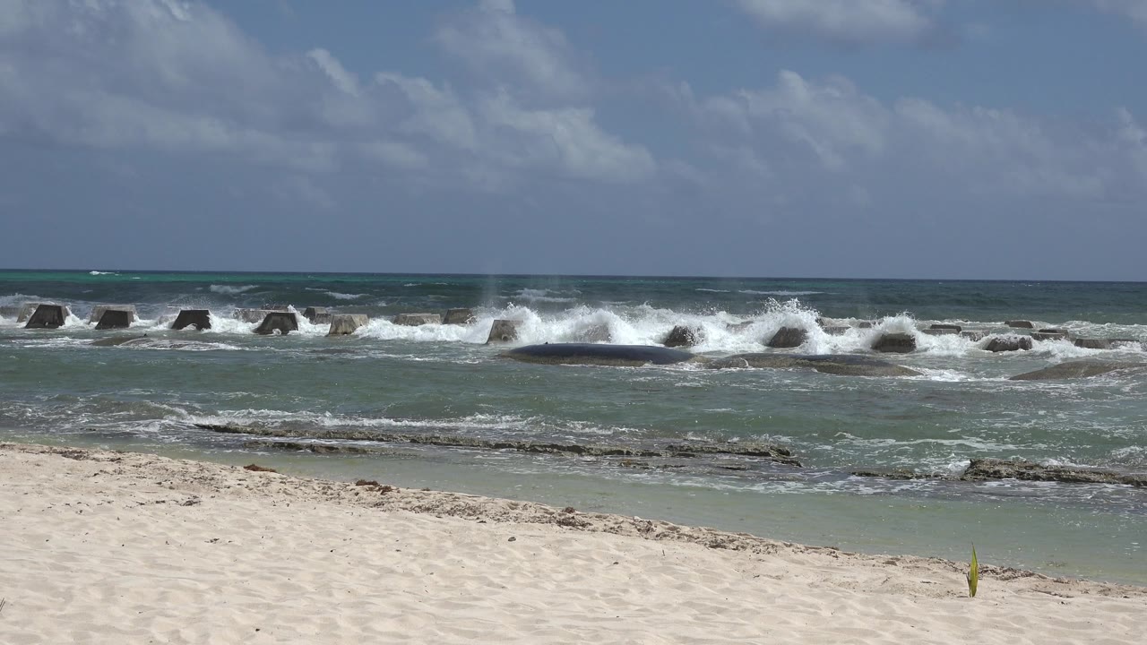 Cloudy beach view with waves rolling across breakwater blocks