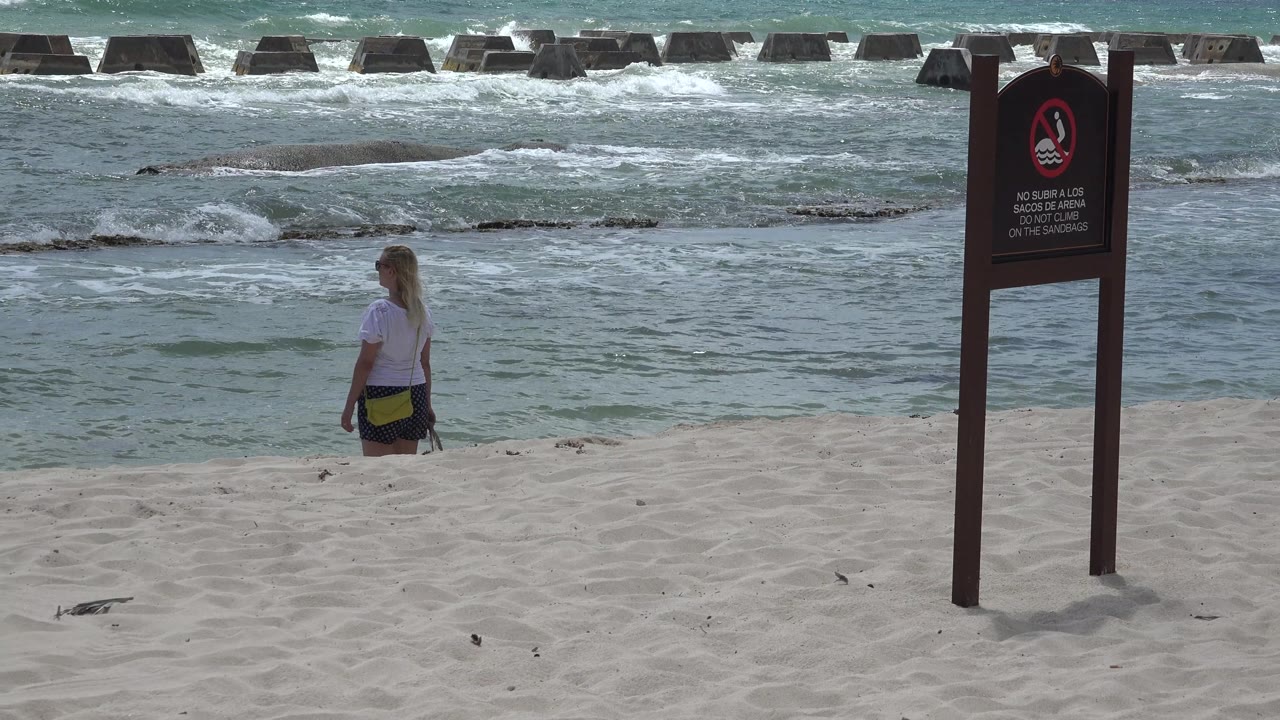 Blond girl faces the water with surf and breakers behind her.