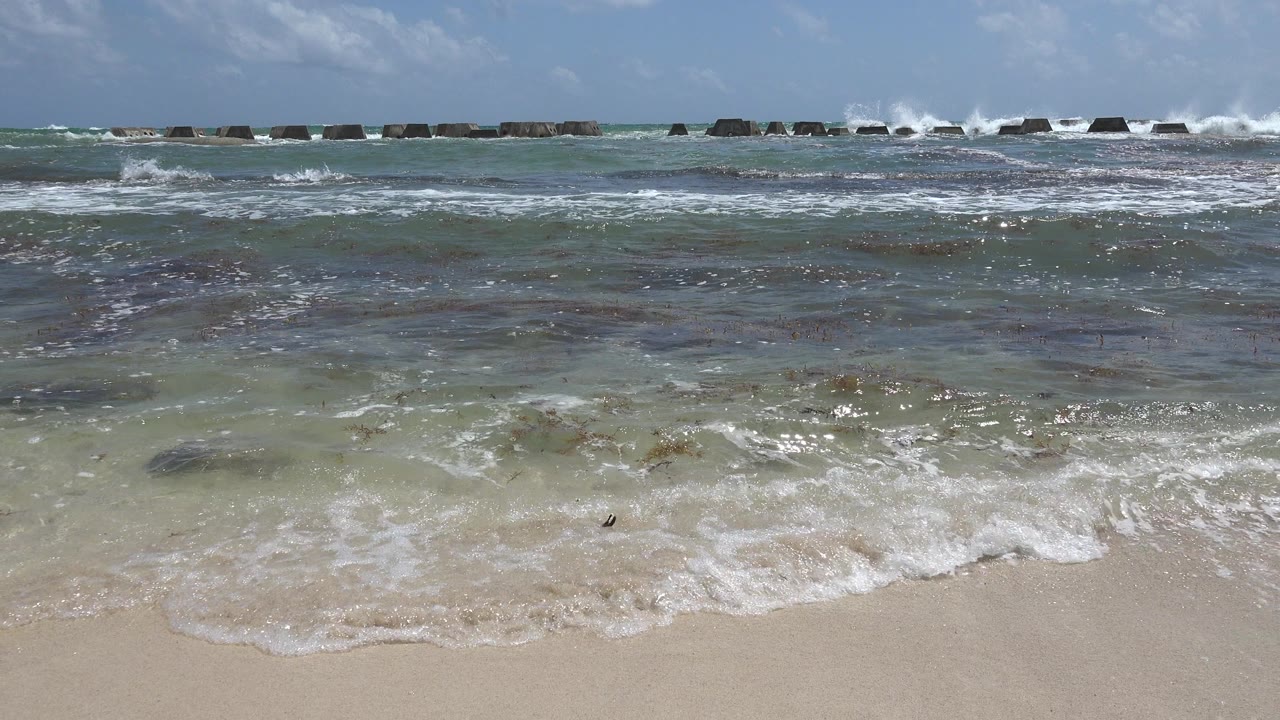 Foam from a small wave spreads across the shallow Playa del Carmen water, with pale sand in the foreground and no visible people.