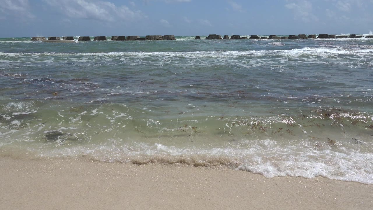 At 0:01 in Playa del Carmen, Mexico, a wider band of white foam washes onto the wet foreground sand while the breakwater remains visible offshore and no people appear.