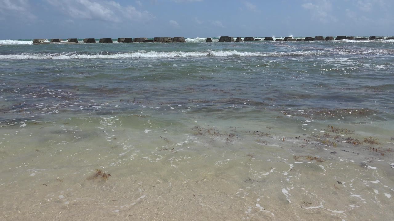Opening frame of Playa del Carmen surf with pale sand, shallow green water, scattered seaweed, offshore rocks, blue sky, and no visible people.