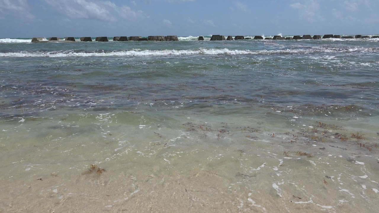 Playa del Carmen shoreline at 0:01 with a thin sheet of water over sand, brown seaweed patches, broken white waves, offshore rocks, and no visible people.