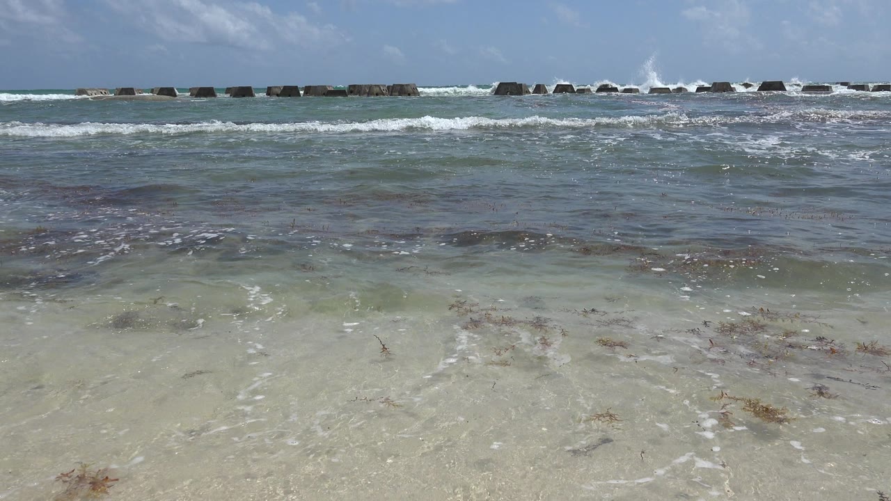 Foamy waves break behind shallow green-blue water near a sandy shore.