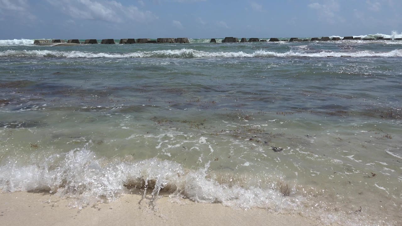 A small breaking wave curls near the sandy shoreline.