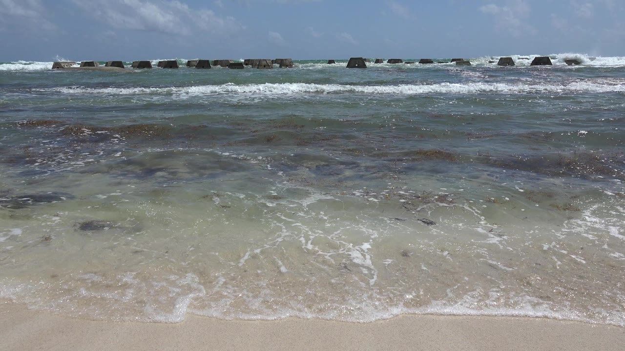 At 0:01 in Playa del Carmen, white foam spreads wider across the shallow green-blue water while seaweed patches remain visible below the surface and no visible people appear.