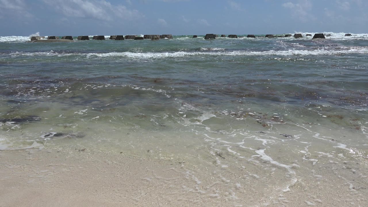 Breaking waves and seaweed patches in shallow coastal water.
