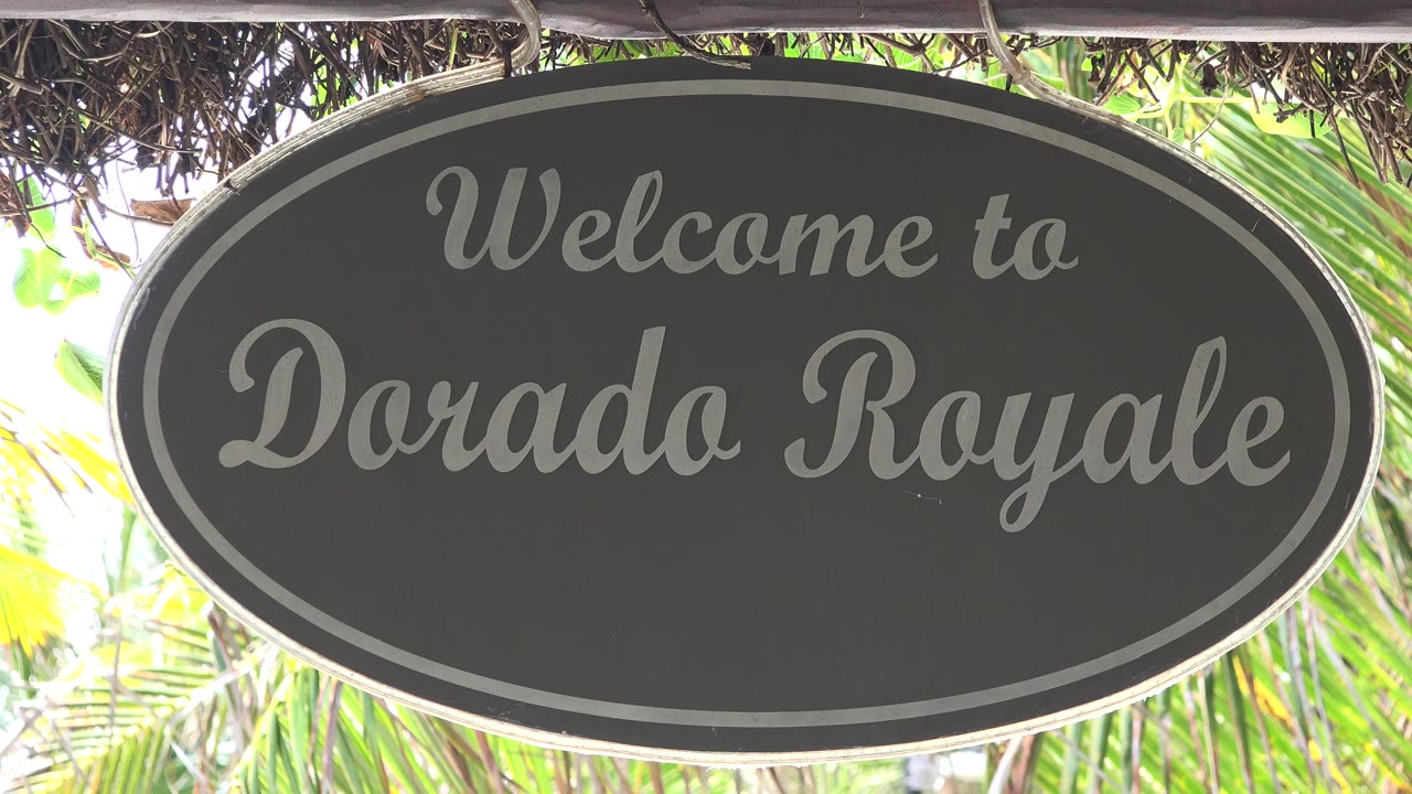 Close framed view of the "Welcome to Dorado Royale" oval sign in Playa del Carmen, Mexico, with bright palm leaves behind it and no visible people.