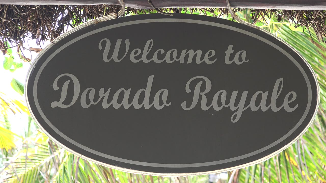 Centered close view of the Dorado Royale welcome sign in Playa del Carmen, Mexico, with shaded vines above and bright palms behind, no visible people.