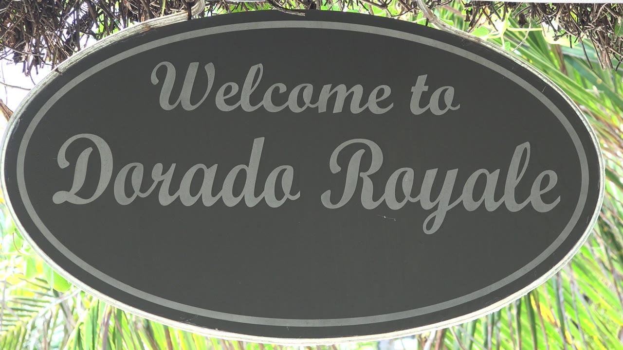 A dark oval "Welcome to Dorado Royale" sign fills the frame in Playa del Carmen, Mexico, with bright palm fronds behind it and no visible people.