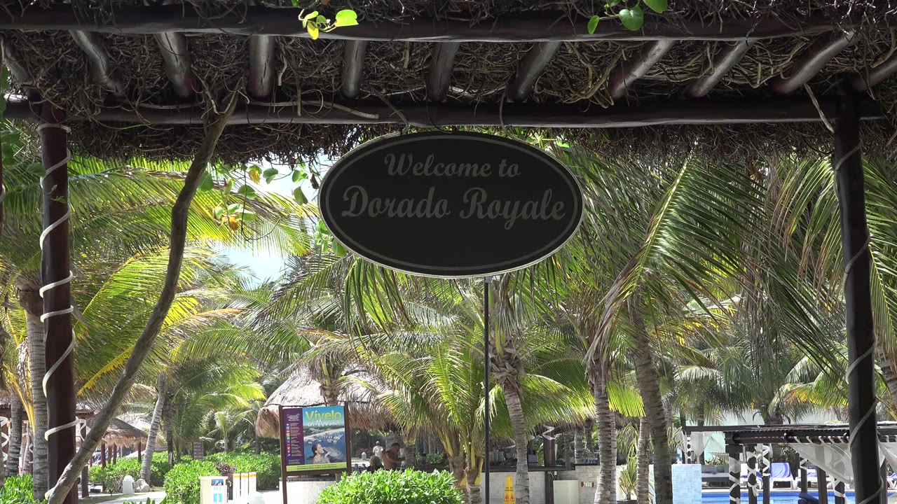 Shaded resort entry sign above a palm-lined walkway.