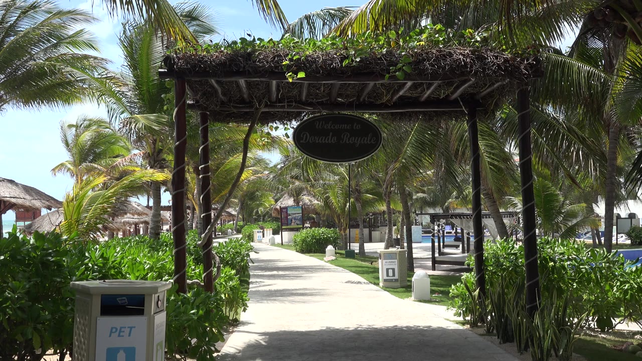 Sunlit resort walkway under palm trees and a vine-covered arch.