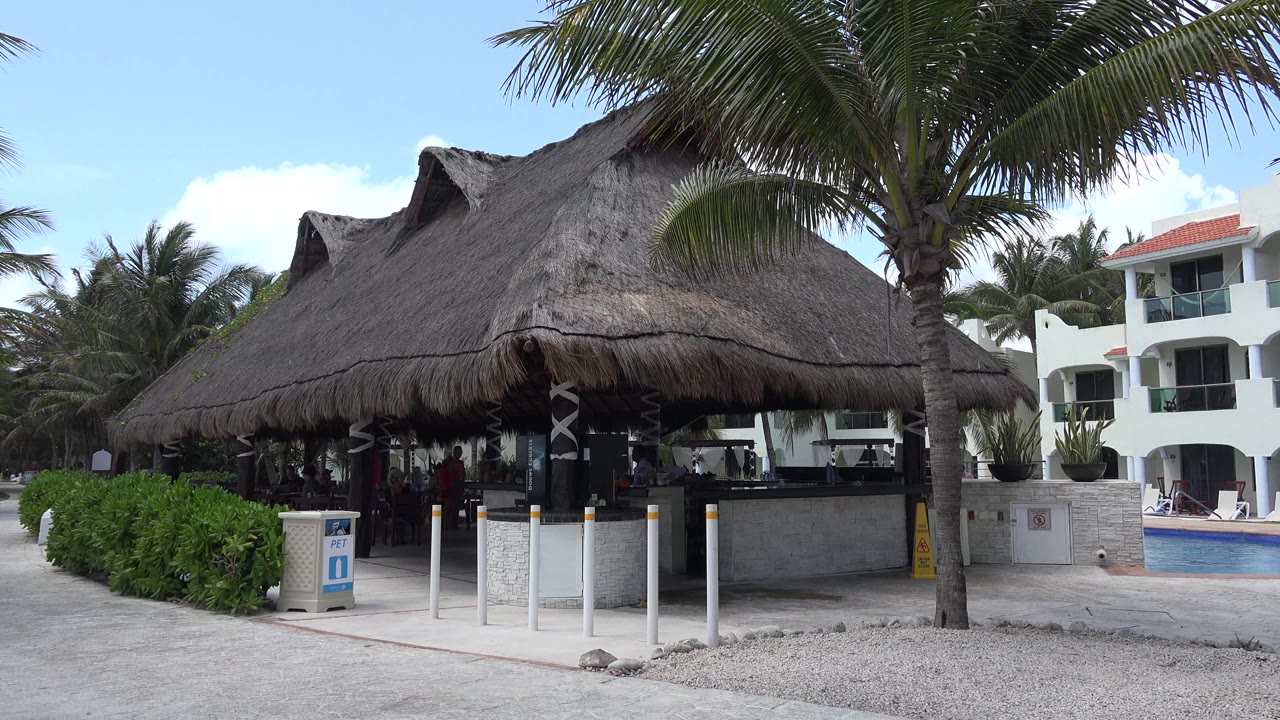 Thatched-roof coffee bar beside palm trees and a pool area.