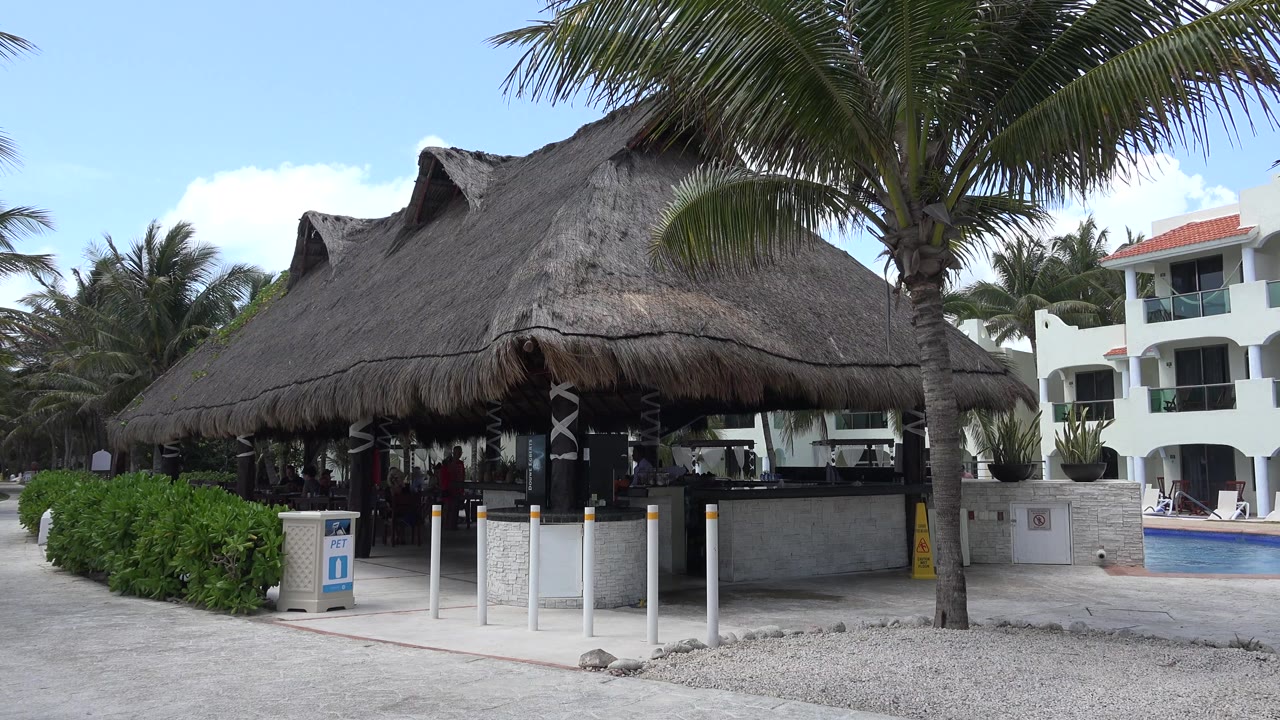 The Playa del Carmen bar remains centered with its deep thatched roof, shaded service counter, white posts at the walkway, a palm trunk near the right side, and no visible people in the foreground.