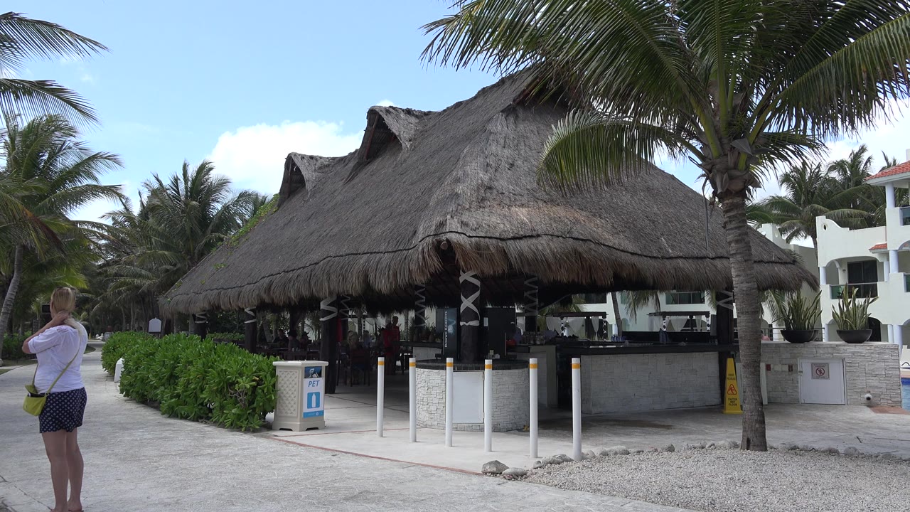 Thatched-roof tropical bar with palm trees and a woman standing at left.