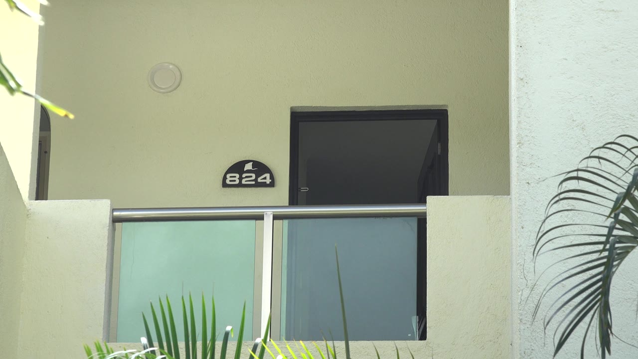 A similar Playa del Carmen balcony view shows the dark door and 824 sign framed by white stucco, with palm leaves crossing the lower foreground and no visible people.